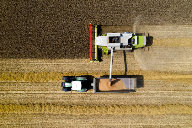 istock Combine harvester and tractor with trailer 1166704021
