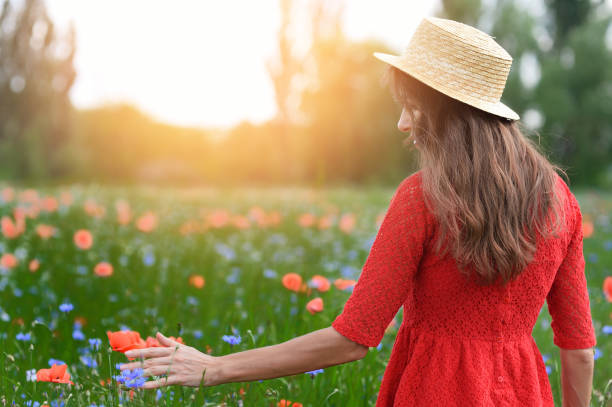 かわいい若いロマンチックな女性は、ケシの花畑を歩いて麦わら帽子をかぶり、ポピーを取ります。柔らかい夏の夕日の色 - poppy field flower single flower ストックフォトと画像