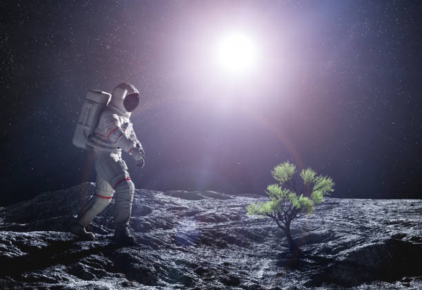 Astronaut exploring an alien planet. Green plant growing Astronaut exploring an alien planet. Green plant growing. Space colonization and travel of the future concept. 3D Illustration. spacewalk photos stock pictures, royalty-free photos & images