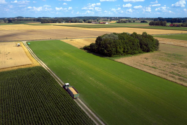 istock Agricultural Fields with Harvesting Machinery, Aerial View 1166705386