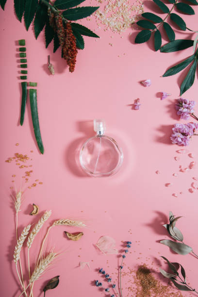 istock Transparent perfume bottle in flowers on pink background. Spring background with aroma parfume. Flat lay 1166706083
