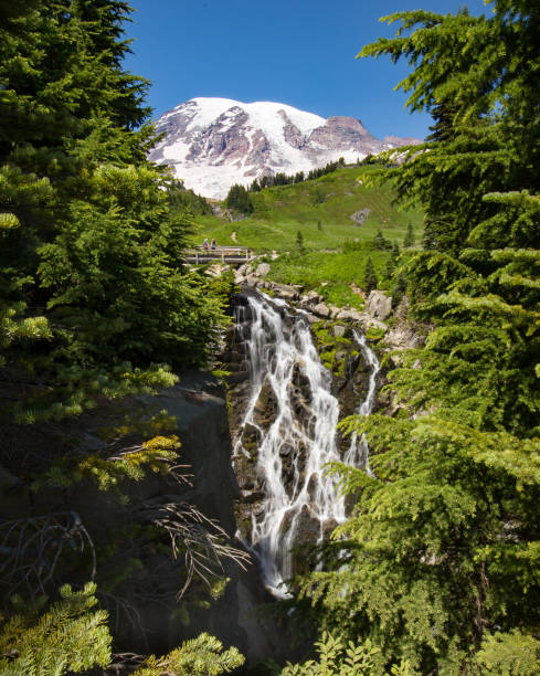 istock Myrtle falls at Mount Rainier national park 1166711344