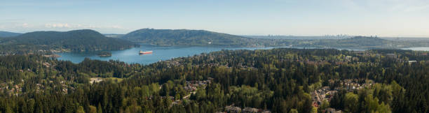 istock Aerial view of Deep Cove 1166711376