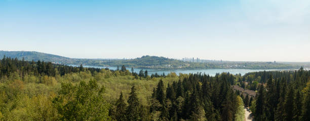 istock Aerial view of Deep Cove 1166711389