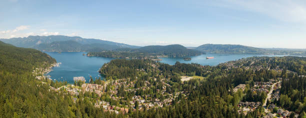 istock Aerial view of Deep Cove 1166711390