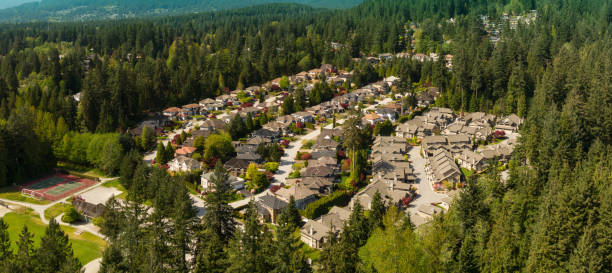 istock Aerial view of Deep Cove 1166711391