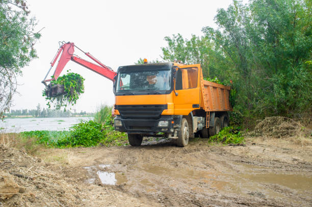 istock Heavy machinery removing water hyacinth from riverside 1166712284