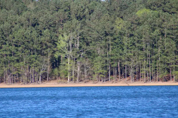 Summer on lake Acworth