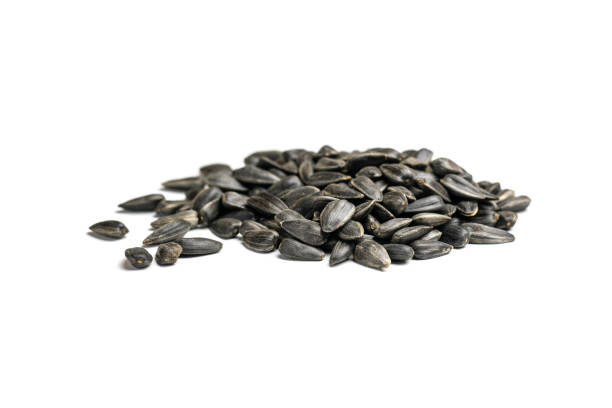 istock Sunflower seeds, background or texture isolated on white. lose-up. 1166713343