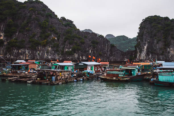 베트남 하롱 베이의 쿠아 완 (kuah wan)의 떠다니는 마을. 물 위에 집. 록키 코스트. 겨울 장마 안개 - fogs 뉴스 사진 이미지