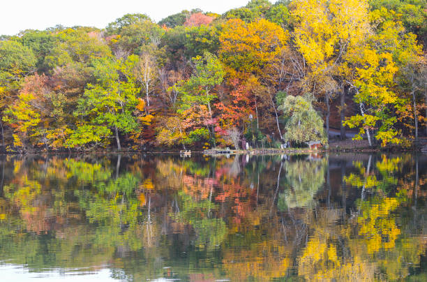 istock Beautiful maple forest by the lake 1166716681