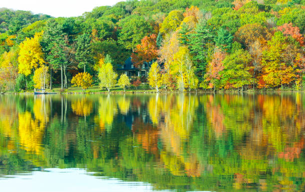 istock Beautiful maple forest by the lake 1166716823