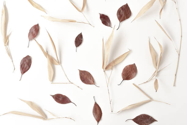 istock Autumn minimal composition. Frame made of autumn colourful leaves . Flat lay, top view, copy space. Autumn fall nature season background 1166717422