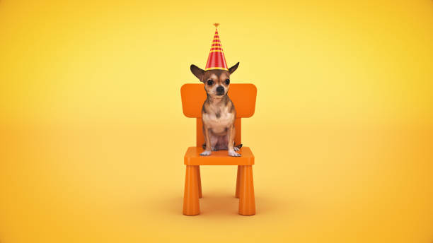 hund-geburtstags-party. 3d-rendering - birthday first place cake symbol stock-fotos und bilder