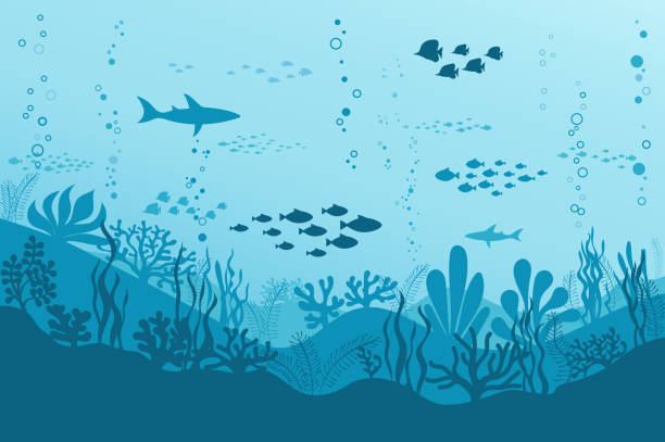 魚、海の植物やサンゴ礁と海の水中背景。ベクトル - 海中点のイラスト素材�／クリップアート素材／マンガ素材／アイコン素材