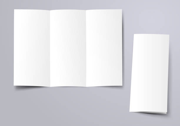blank trifold brochure blank trifold brochure mockup brochure template stock illustrations