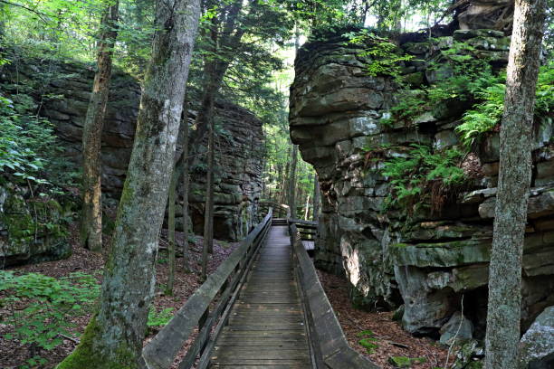 istock Forests and Geology in Beartown State Park, West Virginia. 1166723219