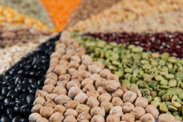Big collection of different cereals and edible seeds. Grain angular pattern with top view