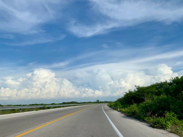 istock Clear road with lush vegetation 1166724168