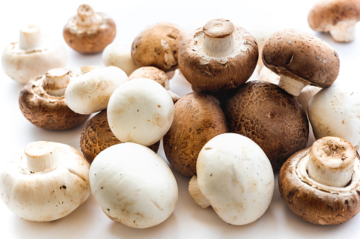 Mushrooms Close Up on White Background