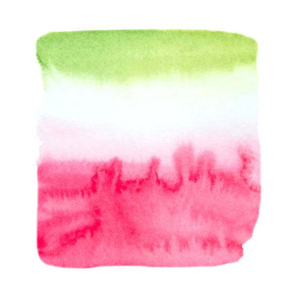 istock Vector watermelon paint texture isolated on white - watercolor banner for Your design 1166730714