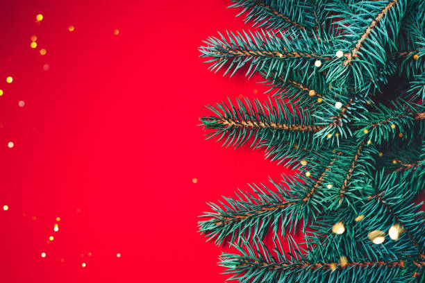 istock Fir branches with blurred lights garland on a red background. 1166730968