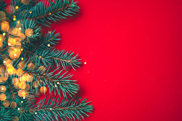 istock Fir branches with blurred lights garland on a red background. 1166730973