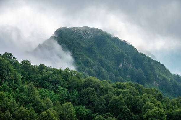 istock High mountains with forested slopes and peaks hidden in the clouds. Three deer or mountain goats stand on a ridge in the distance. 1166734039