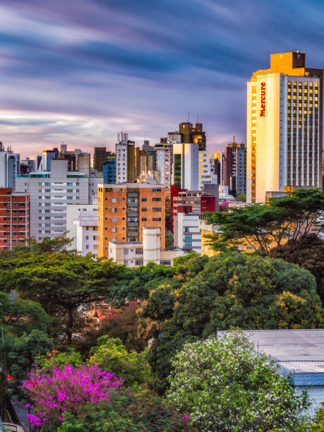 Long Exposure Cityscape of Belo Horizonte Buildings and Mercure Hotel Vertical Cityscape of Green Treetops and Buildings including Mercure Hotel in Downtown Belo Horizonte, Minas Gerais State, Brazil belo horizonte photos stock pictures, royalty-free photos & images