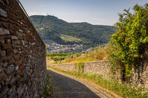 istock Vineyards near Bernkastel-Kues 1166741308