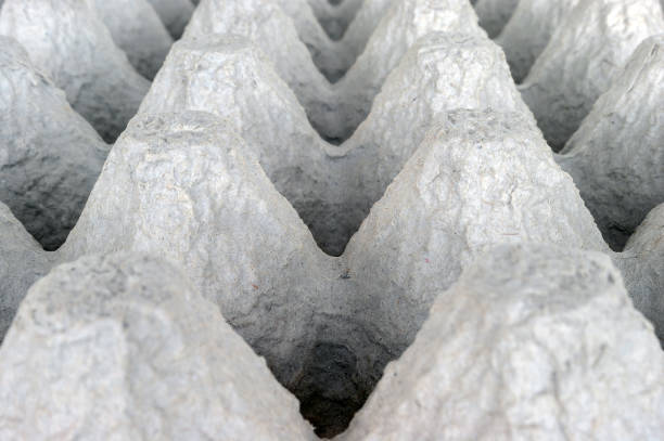 istock Underside of an Empty Biodegradable Molded Pulp Fiber Egg Carton Tray. 1166741311