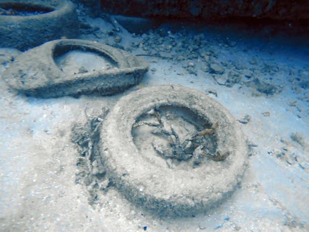 istock Old tires on the seafloor 1166741636