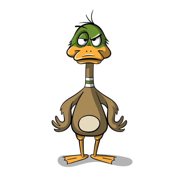 Angry Cartoon Dug Angry cartoon duck. Hand draw vector illustration. duck bird stock illustrations