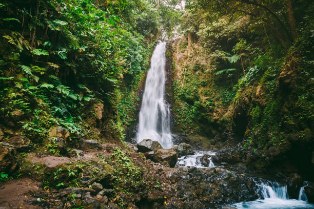 istock Beautiful waterfall in tropical jungles 1166741708