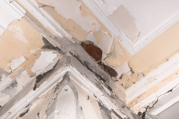istock Ceiling and walls damage by humidity 1166748587