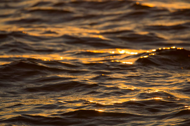 istock Rays of Sun on Surface of Ocean 1166751938