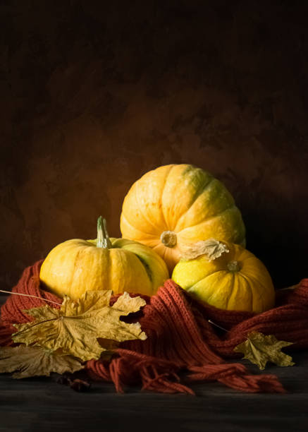 istock Fresh ripe pumpkin leaves maple knitted scarf on a dark rustic background. Autumn concept postcard. 1166755414