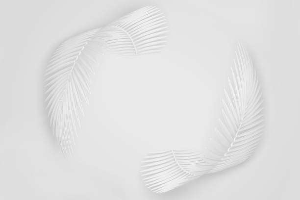 istock Abstract light background of an empty space in the center surrounded by two rounded fluffy palm leaves. 3D illustration.3D render 1166756447