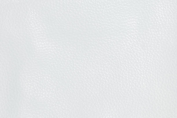 istock Abstract White Leather Texture used as luxury classic background or upholstery pattern sofa furniture, Leather dyeing industry product export for the country. Clean painted wall for publication. 1166757615