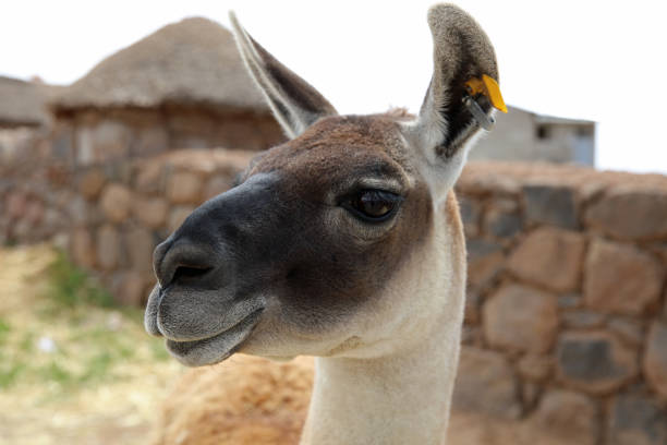 Photo taken in Atacama, Chile