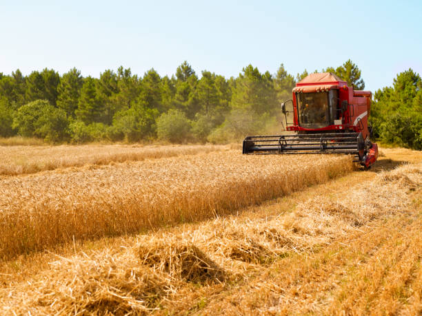 cosechadora - tractor agriculture field harvesting fotografías e imágenes de stock