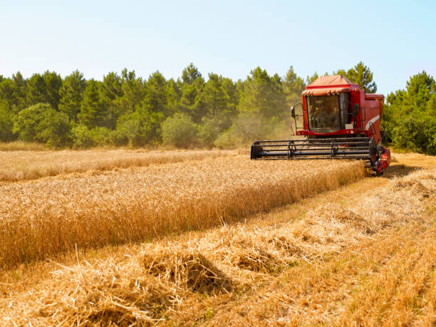 комбайн - tractor agriculture field harvesting стоковые фото и изображения