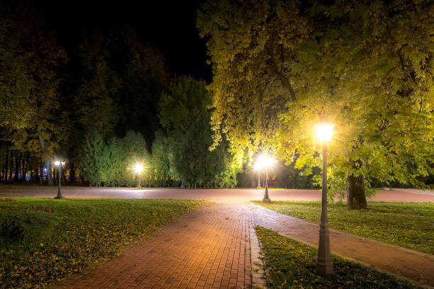 istock Night park in autumn with fallen yellow leaves. 1166768309