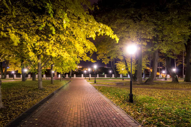 istock Night park in autumn with fallen yellow leaves. 1166768327