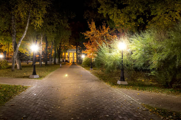 istock Night park in autumn with fallen yellow leaves. 1166768342
