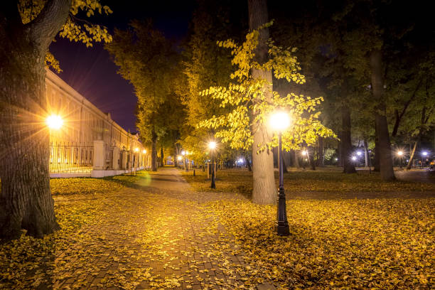 istock Night park in autumn with fallen yellow leaves. 1166768349