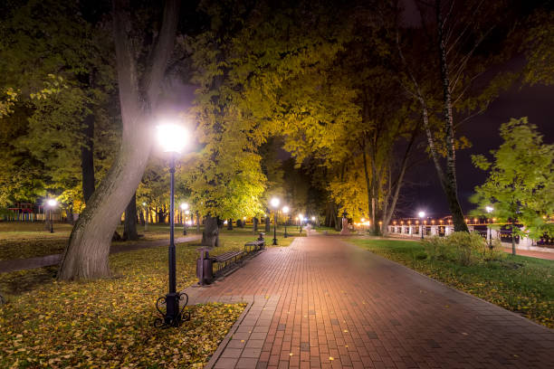 istock Night park in autumn with fallen yellow leaves. 1166768485