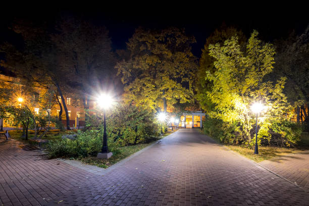 istock Night park in autumn with fallen yellow leaves. 1166768539
