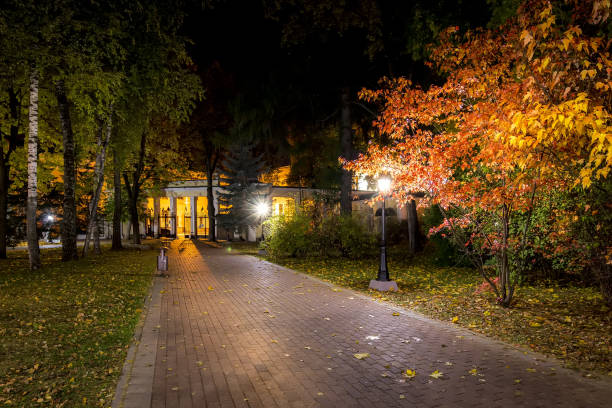 istock Night park in autumn with fallen yellow leaves. 1166768567