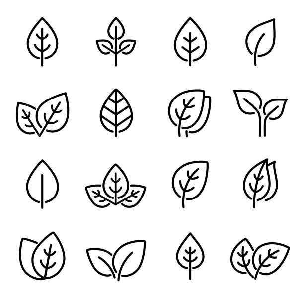 黒の孤立した線の葉のアイコンのセット - tea crop leaf freshness organic点のイラスト素材／クリップアート素材／マンガ素材／アイコン素材